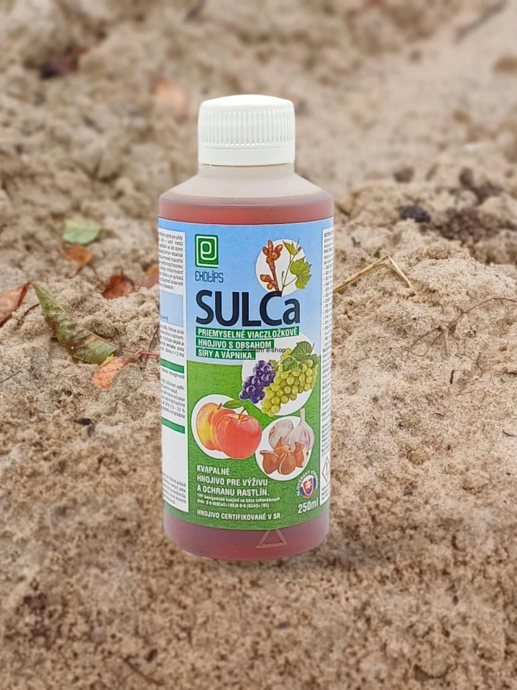 SULCa