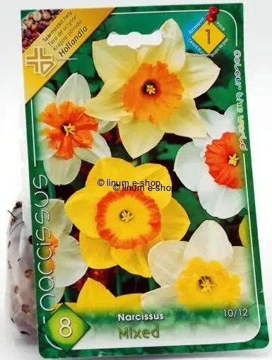 Narcisy mix