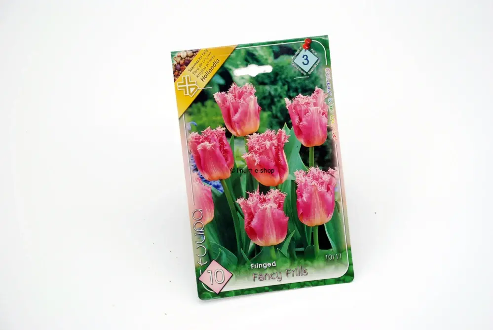 Tulipán Fringed " FANCY FRILLS "