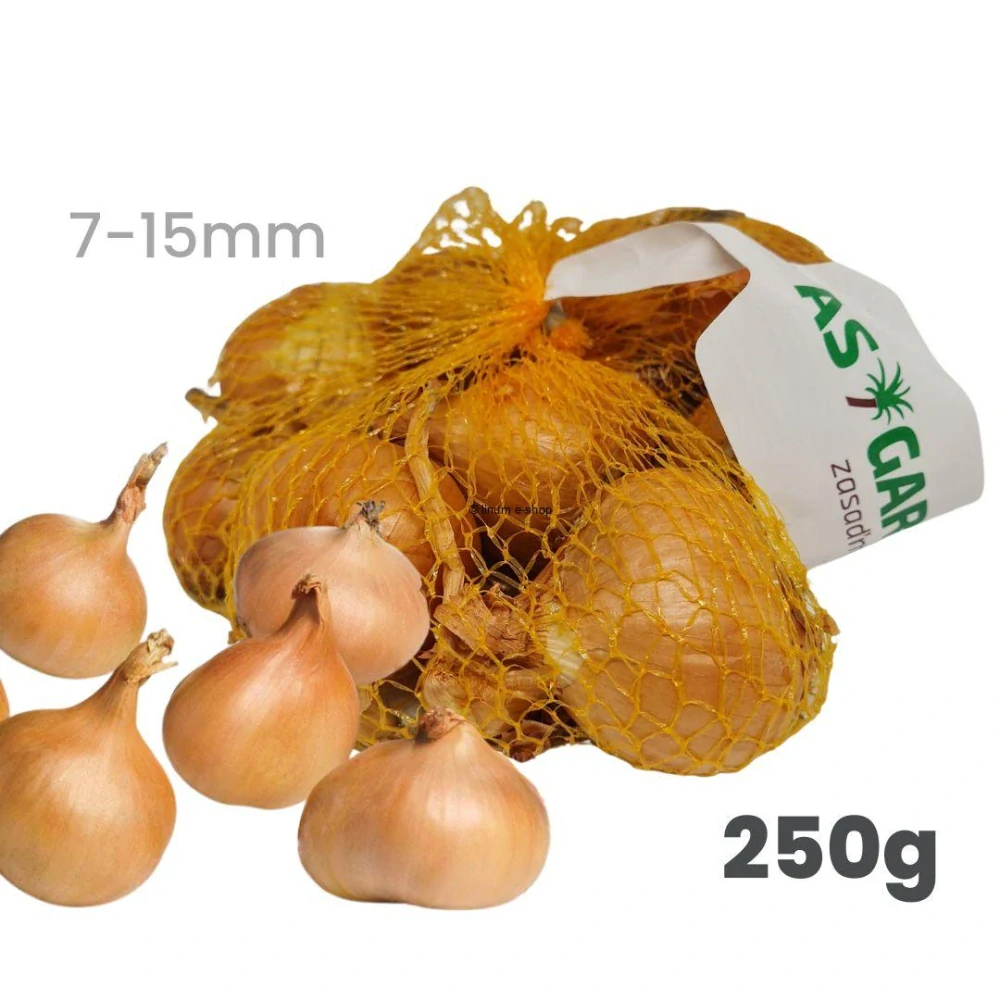 Cibuľa sadzačka ŠALOTKA GOLDEN GOURMET žltá