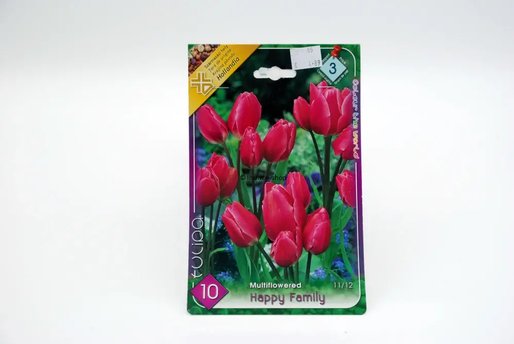 Tulipán multikvetový " HAPPY FAMILY "
