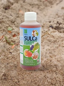 SULCa