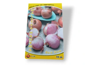 Šalotka  červená RED SUN 100 g