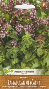 Pamajorán obyčajný - Oregano 
