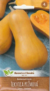 Tekvica pižmová Butternut Liscia