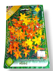 Montbrécia nízkokvetá mix