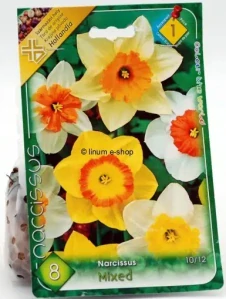 Narcisy mix