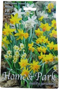 Narcisy mix 1