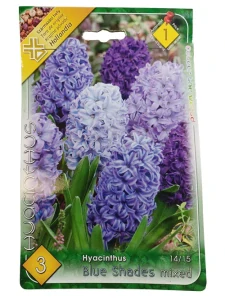 Hyacint Blue Shades-Modré odtiene