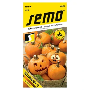 Tekvica obyčajná Yellowbaby F1