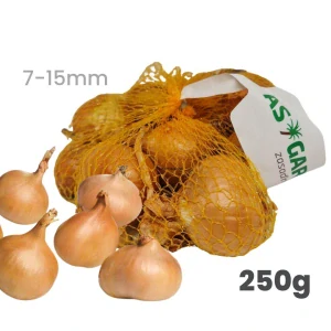 Cibuľa sadzačka ŠALOTKA GOLDEN GOURMET žltá 