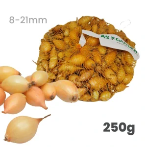 Cibuľa sadzačka VŠETANA 250g žltá