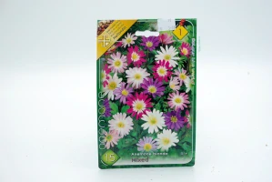 Anemone " Blanda " mix