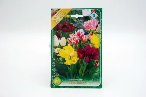 Tulipán multikvetový " mix "