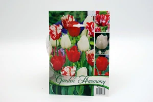 Tulipány mix 1 - Estella Rijveld, Silver dollar, Bastogne
