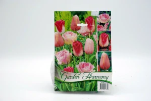 Tulipány mix 2 - Angelique, Page Polka, Menton