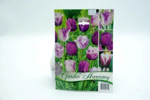 Tulipány mix 3 - Shirley, Negrita, Cummins