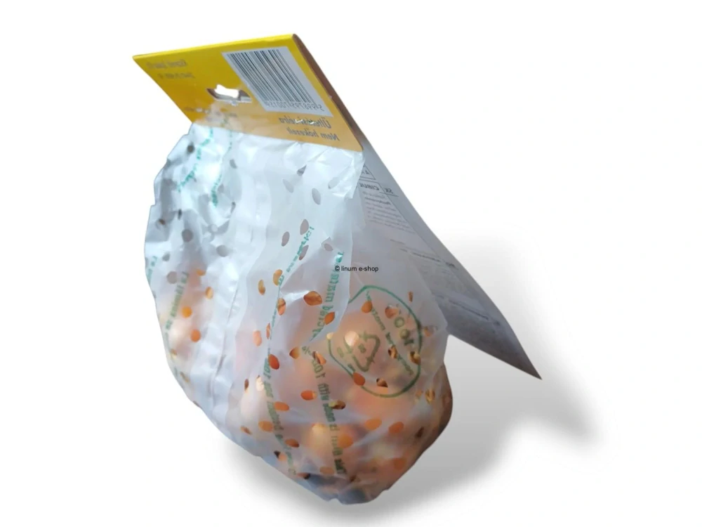 Cibuľa sadzačka STURON 300 g