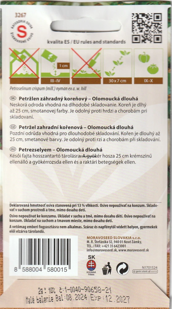 Petržlen koreňový Olomoucký dlhý
