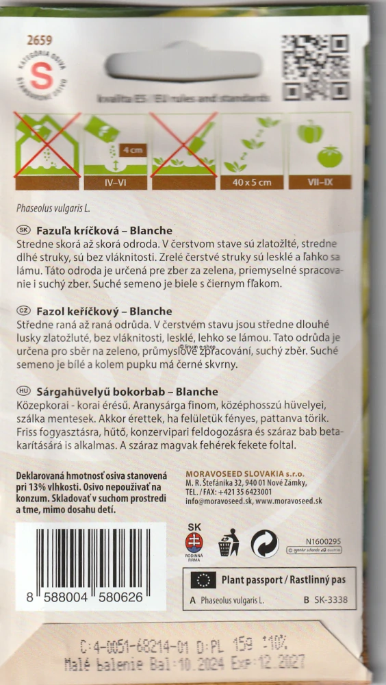 Fazuľa kríčkovitá žltá Blanche