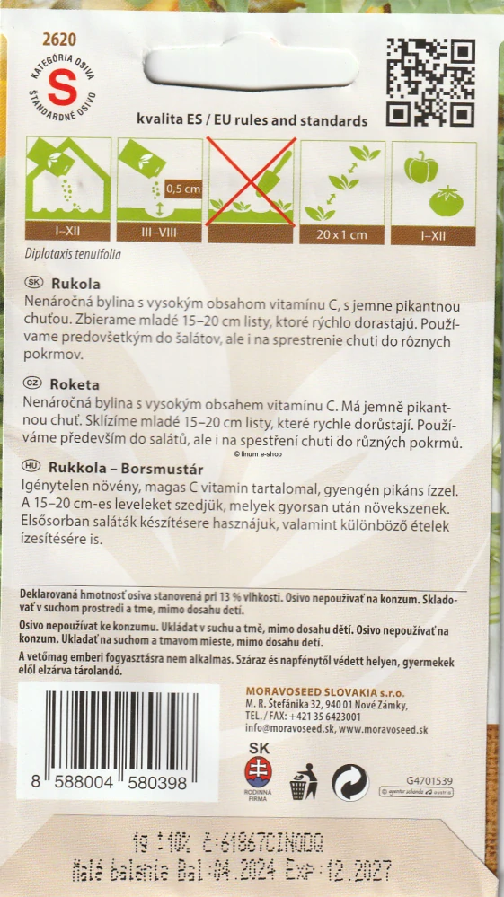 Rukola