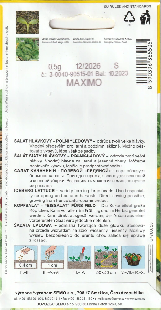 Šalát hlávkový ľadový Maximo