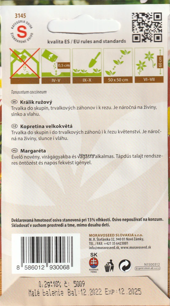 Králik ružový - Margarétka
