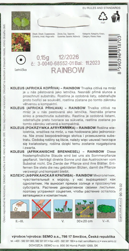 Koleus - Africká žihľava - Rainbow - dúha