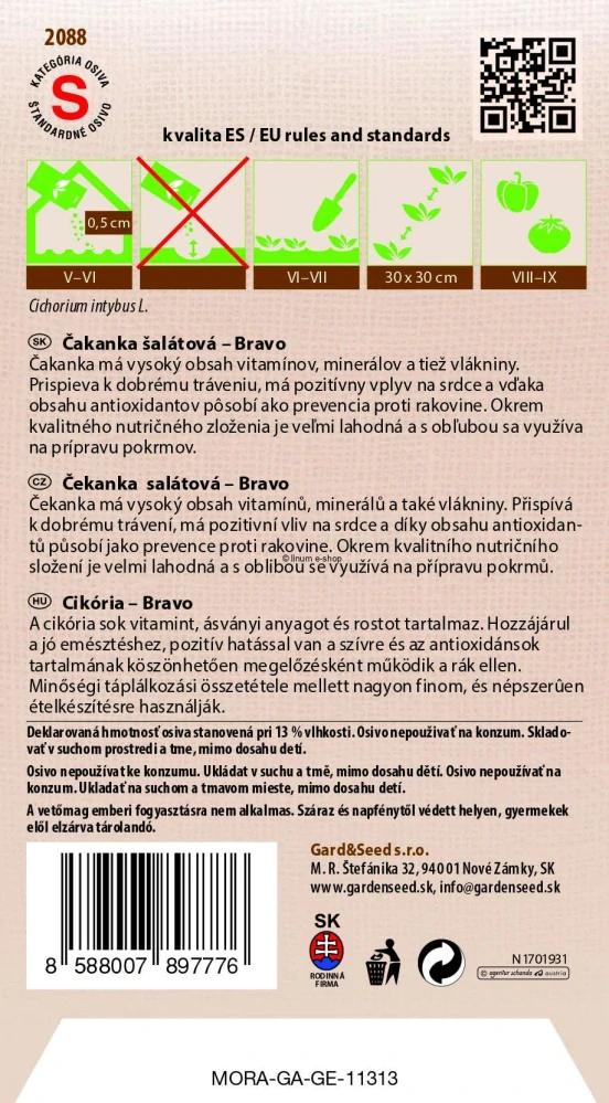Čakanka šalátová Bravo