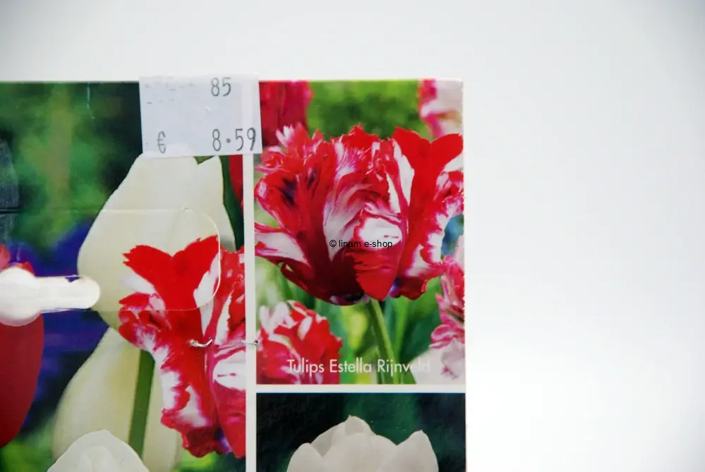 Tulipány mix 1 - Estella Rijveld, Silver dollar, Bastogne
