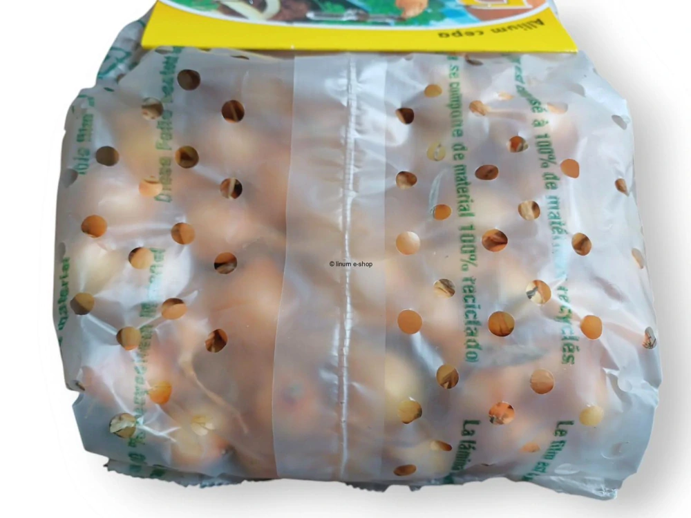 Cibuľa sadzačka STUTTGARD 300 g