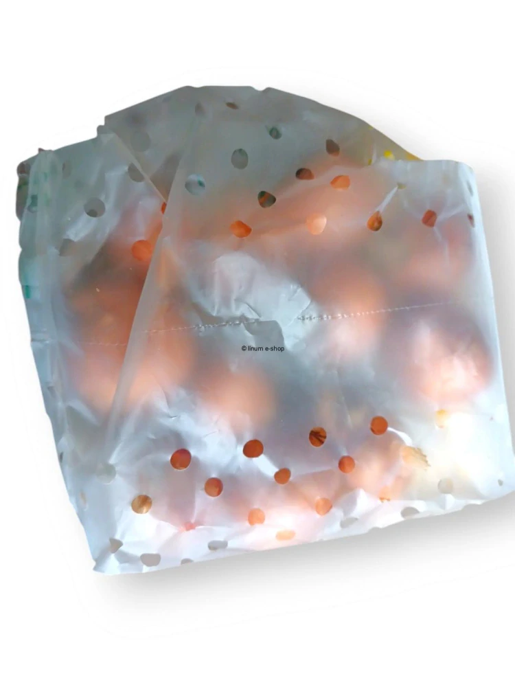 Šalotka  červená RED SUN 100 g