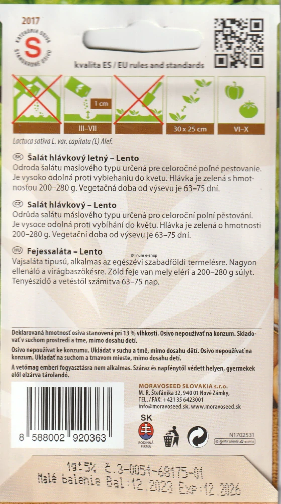 Šalát hlávkový letný Lento