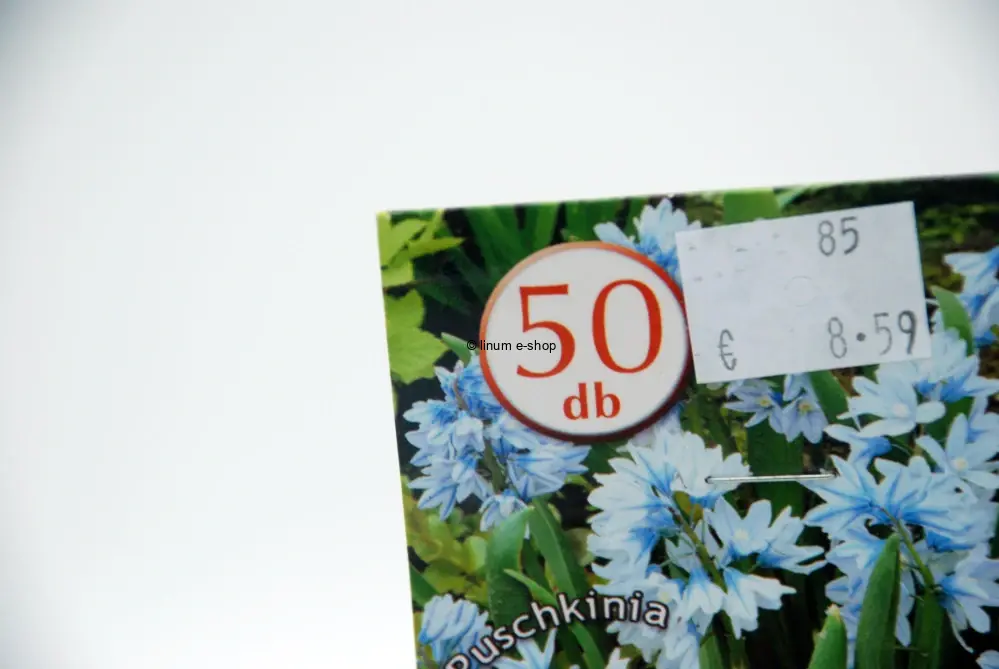 Kvitnúci mix